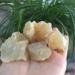 Natural Crystal Rough 5pcs Natural Opal Rough Stones and Minerals Healing Crystals Gemstones Specimen for Home Decoration Wholesale - Buy Online on GoSupps.com