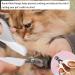 Aulen Cat Nail Clippers Pet Claw Scissors with Safety Guard Anti-Slip Kitten Claw Trimmer Pet Nail Clippers for Pet Cats Dogs Rabbits Guinea Pigs and More Pets in Home and Pet Store - Buy Online on GoSupps.com