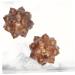Buy Gleavi 2 STK Massage Balls - Lacrosse Roller & Hand Massager Tool for Therapy | International Shipping - Buy Online on GoSupps.com