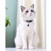 Tagme Cat Neck Band - 2 Pack Personalized with Name & Phone Number Safety Clasp & Bell Standard Size 18-31cm Black - Buy Online on GoSupps.com