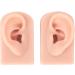 Silicone Piercing Model - Simulated Human Skin Ear Model (Light Skin) for Teachers & Salons | International Shipping - Buy Online on GoSupps.com