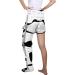 Adjustable Orthopedic Hip Joint Fixation Bracket & Hinged Knee Waist Support Brace - Universal Size for Adults | Knee Ankle Foot Joint Support - Buy Online on GoSupps.com