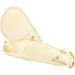 Buy 2 Pairs Forefoot Invisible Foot Cushions | Metatarsal Arch Pads for Heels & Pumps | Women s Comfortable Half Size Pads - Buy Online on GoSupps.com