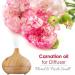 100% Natural Carnation Essential Oil - 50ML Pure Aromatherapy by Salvia | Uncut Undiluted Therapeutic Quality - Buy Online on GoSupps.com
