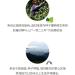 2017 Dovji Nannuo Big Tree Raw Pu-erh Tea Cake 357g from Yunnan - Buy Online on GoSupps.com