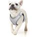 Buy Heele Small Soft Dog Dishes & Adjustable Harness Vest - Air Mesh Reflective Design for Walking Training - XS Size - International Shipping - Buy Online on GoSupps.com