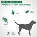 Advantage II Flea Treatment for Medium Dogs weighing 4.6 kg to 11 kg (10 lbs. to 24 lbs.)-2 doses - Buy Online on GoSupps.com