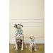 Unique Style Paws Silk Green Dog Hall Band | Cond-Resistant Wedding Accessory for Small Dogs & Cats - Buy Online on GoSupps.com