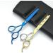 Professional Hairdressing Scissors 2 in 1 Hair Scissors with Comb with Detachable Comb 6 Inch Professional Jp440c Steel Gold 2 in 1 Hair Scissors Home Use for Man Woman Adults Kids (Green) - Buy Online on GoSupps.com