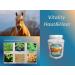 Herbal Mixture Vitality Skin & Hair Active Pellets for Horses - Grain-Free Coat Change & Mud Fever Relief | Barbara Seitz 1000g - Buy Online on GoSupps.com