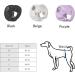 Petmia Washable Dog Diapers - Hygiene Underpants for Dogs in Heat | 5 Sizes (XS-XL) | 3-Pack Beige Black & Purple - Buy Online on GoSupps.com