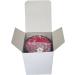 Poker Dice Set with Leather Cup - Spanish Poker (Ivory) - Gift Boxed - 16mm Squared Corners - Black/Red Cup - Buy Online on GoSupps.com