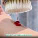 Long Handle Bath Massage Cleaning Brush with Soap Dispenser - Grey - Buy Online on GoSupps.com