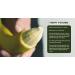 Restore My Foreskin - Premium Coconut Oil Massage Oil for Foreskin Restoration | 30ml - Infused with Herbs Ideal for Stretcher Devices - Buy Online on GoSupps.com