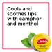 Carmex Classic Lip Balm Medicated 0.25 oz (Pack of 3) Classic 0.25 Ounce (Pack of 3) - Buy Online on GoSupps.com