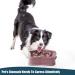 Vealind Slow Feeder Dog Bowl for Medium and Small Dogs - Prevent Obesity in Pets - Interactive Design (Green/Purple) - Buy Online on GoSupps.com