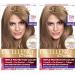 L'Oreal Paris Excellence Creme Permanent Hair Color Triple Protection Hair Color with Ceramide Pro- Keratine and Collagen 7.5N Dark Neutral Blonde 2 count
