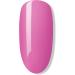 Bluesky Gel Nail Polish Gotcha - 80522 Pink Long Lasting Chip Resistant 5ml (Requires Drying Under UV LED Lamp) Pink 5.00 ml (Pack of 1) - Buy Online on GoSupps.com