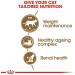 ROYAL CANIN Sterilised Ageing 12+ | Pack of 3 | 3 x 400 g | Complete Food for Cats | Specially designed for Cats - Buy Online on GoSupps.com