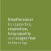 Lung, Bronchial & Sinus Health | Natural Factors Supplement for Easy Breathing | 90 Tablets - Buy Online on GoSupps.com
