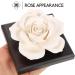 Healvian 2-in-1 Aroma Diffuser - Ceramic Essential Oil Diffuser for Home & Office Decoration | Passive Diffusion for Fragrance Oils & Rituals - Buy Online on GoSupps.com