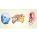 ADITAM Earplug Washable Christmas Tree Type with line Anti-Noise and Noise Reduction earplugs Learning Sleep earplugs Double The Comfort - Buy Online on GoSupps.com