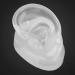 Silicone Ear Model for Hearing Aids | Realistic Artificial Ear Display for Window & Ear Impression Practice - Buy Online on GoSupps.com