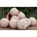The Suet Shop 80g x 50 Standard Suet Fat Balls - High Energy & Protein for Wild Birds - Buy Online on GoSupps.com