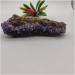 for Natural Dream Amethyst Quartz Crystal Cluster Specimen Full of Texture - Buy Online on GoSupps.com