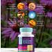 Buy Dakota 7 in 1 Immune Defense - 60 Capsules - Pack of 2 for Optimal Health - Buy Online on GoSupps.com