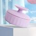 SOLUSTRE Makeup Brush Cleaner Silicon Makeup Brush Cleaning Tool Cosmetic Brush Cleaning Pad with Color Removal Sponge 2 in 1 Cleaner Box for Dry Brush Color - Buy Online on GoSupps.com