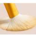 Buy 12-Piece Makeup Brush Set - Soft Hair Blush Loose Powder & Foundation Brushes - Ideal for Flawless Application - Worldwide Shipping Available - Buy Online on GoSupps.com