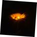 3pcs Floral Decor Outdoor Decorative Lights LED Decor Outdoor Solar Garden Decor Solar Landscape Light Sunflower Lawn Lamp Solar LED Flower Light Solar LED Flowers Landscape Lamp (Assorted Color) - Buy Online on GoSupps.com