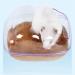 Timeshunall 1 Pcs Hamster Bathroom Washroom Clear Toilet Box Sand Bath Container Cute Hamster Bathroom for Small Animal Hamster Gerbil - Buy Online on GoSupps.com