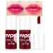 BINGBRUSH 2Pcs Bright Vivid Color Lip Tint With Vibrant Moisturizing Long-wear Non-sticky Lightweight Lip Stains Liquid Lipstick Rouge Lip Gloss Girls Women Gift Set(Brilliant Rouge Lip Gloss) 03&04