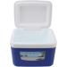 Insulin Cooler Box 5L Portable Insulin Cooling Travel Bin for Outdoor Medicition Food (Blue) - Buy Online on GoSupps.com