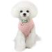 Shop Cute Striped Pet Pullovers - Cat & Small Dog Sweaters in Pink Red Blue & Gray | Perfect for Pets 1.2-9.0 kg - Buy Online on GoSupps.com