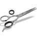 Professional hair scissors hairdressing scissors Effective scissors modeling scissors stainless steel stainless steel rustproof hair cutting scissors with sharp cutting edge for a perfect haircut (5.5 inch/13.97 cm hair buttery straight handle) 13.97 cm h