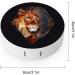 Abstract Lion Head Round Storage Case - Cute Portable Contact Lens Box Kit with Mirror - Ideal for Travel & Organization - Buy Online on GoSupps.com