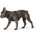 HUNTER London Comfort Harness - Large/2 Brown | International Shipping Available - Buy Online on GoSupps.com