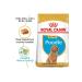 Royal Canin Poodle Junior Puppy Food 3 Kg - Buy Online on GoSupps.com