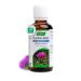 A.VOGEL - Dietary supplement - Fludified and soothed digestion - Supports the proper functioning of the liver - Antioxidant and detox - Organic milk thistle extract - 50 ml