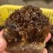 Crystal Natural Yellow Amber Calcite Rough Crystal Stone Collection Rough Rock Specimen Home Decor (Size : 60-100g) - Buy Online on GoSupps.com