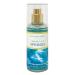 Bath and Body Works Water Lily Springs Mini Fragrance Mist & Body Cream Set - Travel Size | Perfect for On-the-Go | Shop Now - Buy Online on GoSupps.com