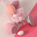 Beauty Sponges Blender | Makeup Sponge Set | Powder Puff Long Lasting Beauty Sponge Wet & Dry Use for Women Girlfriend Mother Wife Pink - Buy Online on GoSupps.com