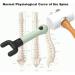 Orthopedic Hammer Therapy Tool 7PC Spinal Shock Massage Equipment for Osteopathic Care - Buy Online on GoSupps.com