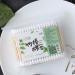 Buy Milist 200th Sterile Cotton Tip Swabs | Premium Wooden & Bamboo Q-Tips for Medical & Personal Use - Fast International Shipping - Buy Online on GoSupps.com