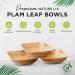 Naturelia 4-Inch Square Palm Leaf Disposable Bowls- Faux Wood Style Dinnerware Soup and Salad Bowl Set - 25-Pack Bundle - Microwave Oven and Freezer Safe 25 4 inch - Buy Online on GoSupps.com