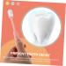 Mobestech 6th Soft Toothbrush Set - Travel-Friendly Oral Hygiene Tool for Whiter Teeth | Compact Nylon Brush for Tooth Cleaning - Buy Online on GoSupps.com