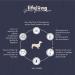 Amazon Brand - Lifelong Complete food for small breed dogs without cereals made with fresh lamb meat - 3kg - Buy Online on GoSupps.com